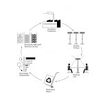 B1_C2C_technischer_Kreislauf